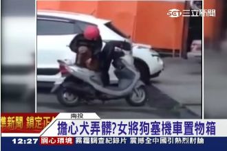 擔心犬弄髒？女竟將狗塞機車置物箱