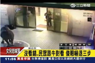 警改當牛仔！不抓犯人改抓「逃脫牛」