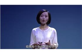 柴靜（圖／翻攝自YouTube）