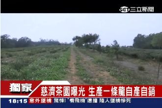 慈濟茶園自產自銷！價錢竟賣到...