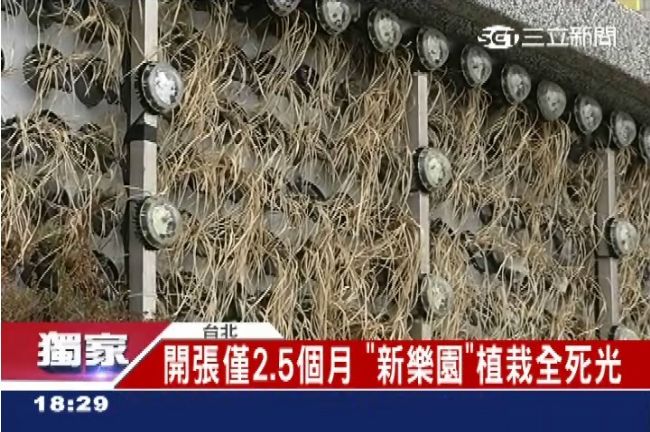 浪費公帑230萬！新樂園植栽全死光