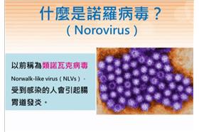 諾羅病毒／翻攝疾管局