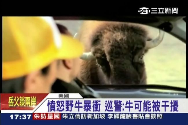 遇到野生動物襲擊，千萬別做這些事！