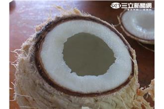 哈佛入學是非題　椰奶=椰子+牛奶？