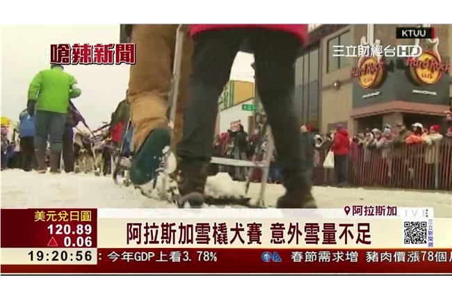 狗狗傻眼！雪橇犬賽差點辦不成的原因