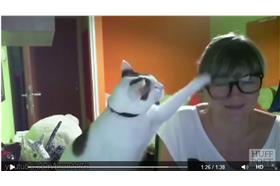 翻攝臉書／貓咪／https://www.facebook.com/video.php?v=872228586178208