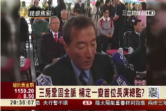 長庚破例增「總監」　傳楊定一出任