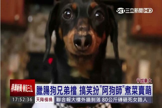 影／直擊「阿狗師」一邊煮菜一邊偷吃