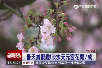 除了陽明山～這景點也能讓你賞櫻花！