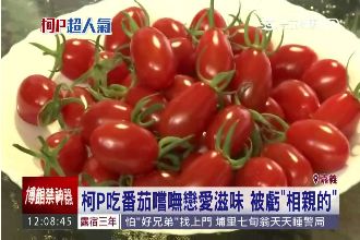 為什麼柯P吃番茄　沒有戀愛的感覺？