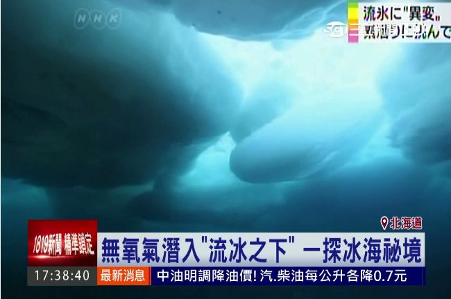 潛入白色世界！直擊北海道流冰下美景