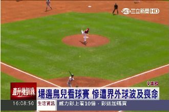 界外球害命！MLB又有鳥兒被擊斃
