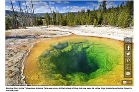 黃石公園。取自每日郵報。http://www.dailymail.co.uk/travel/travel_news/article-2991863/Shocking-photos-reveal-destruction-Yellowstone-National-Park-hot-spring-tourists-throwing-coins-luck.html