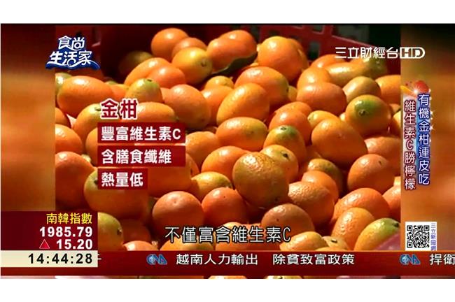 柑橘家族大翻身　桔餅創造滾滾黃金