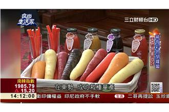 選美冠軍在這裡！東勢胡蘿蔔超吸睛