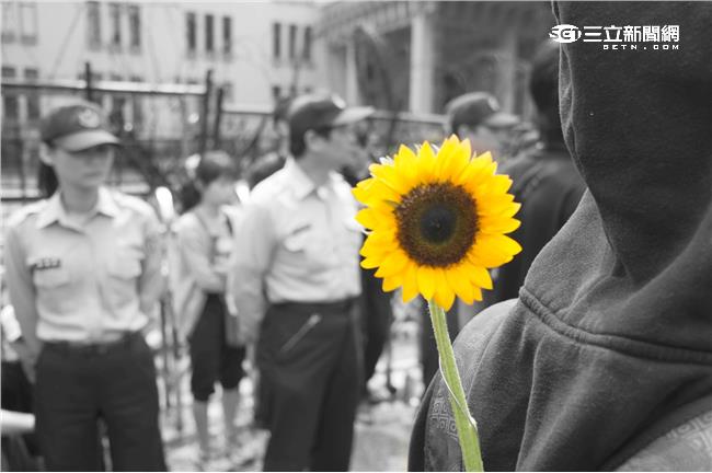 太陽花學運種子萌芽　改變台灣三件事