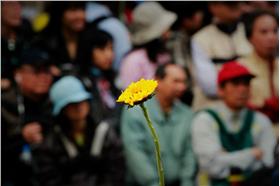 柯文哲談太陽花／翻攝臉書