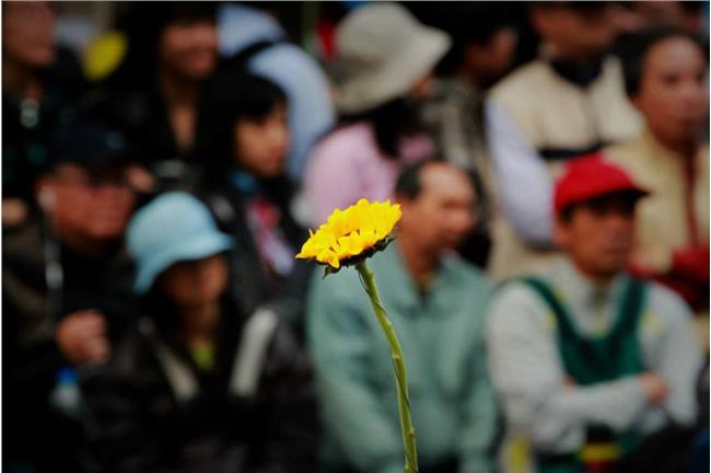柯P談太陽花：起訴？政府可有更好回應