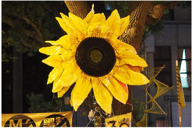 賴清德：太陽花學運改變台灣政經版圖