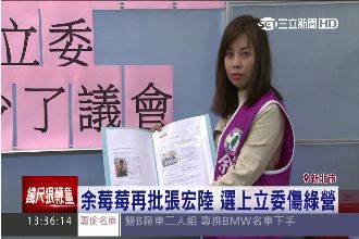 瓦解綠營力量？余莓莓開炮張宏陸參選