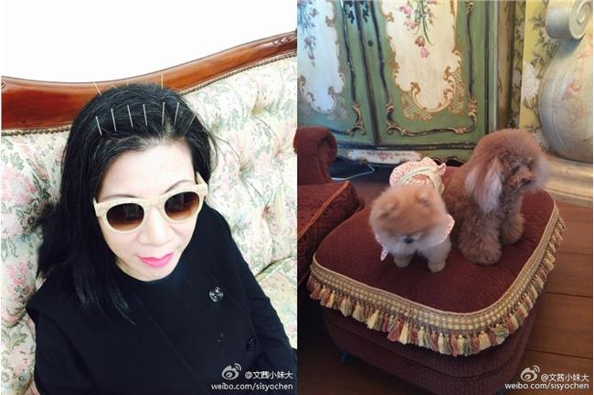 陳文茜寫好遺囑：財產要留給愛狗