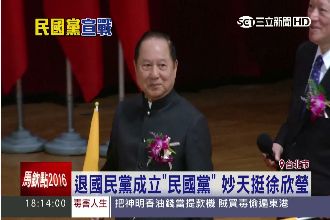 徐欣瑩創「民國黨」　妙天禪師現身挺