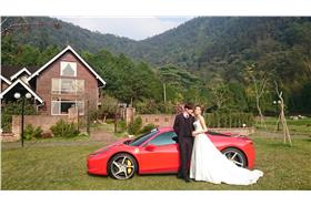 夢幻森林婚禮／公關圖