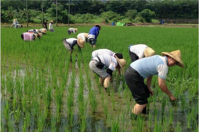 水況持續吃緊　4月恐再擴大農業限水