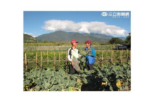 黃西田開心農場活抓菜蟲實境大體驗！