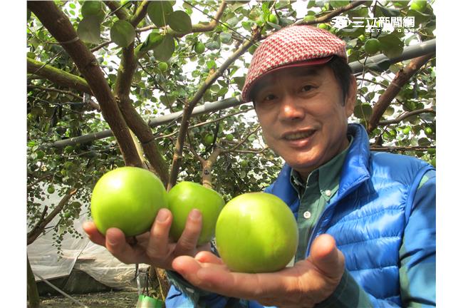 闖入果園禁忌地帶　黃西田驚見喪屍？