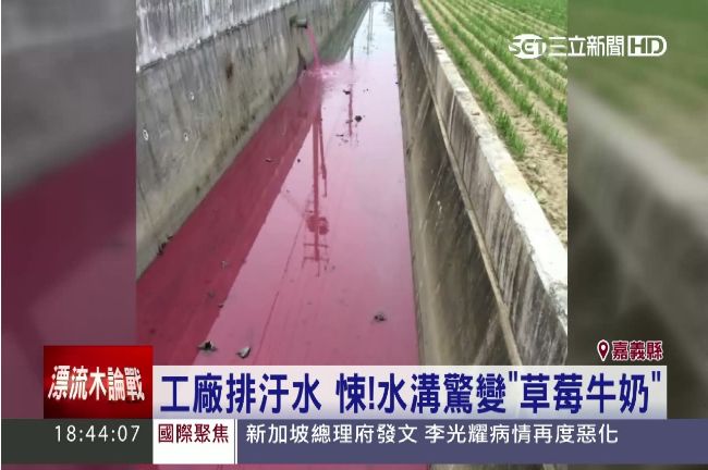 怵目驚心！排水溝變成「草莓牛奶」