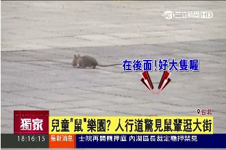 衛生出問題？兒童新樂園驚見老鼠橫行