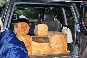 漂流木,盜採,山老鼠 (台中市政府警察局)