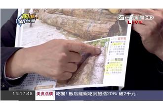紅檜遭調包　李慶元：木材行魚目混珠