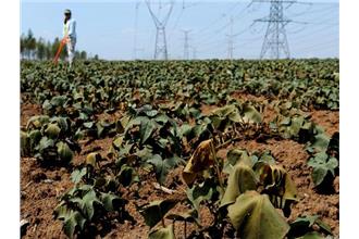 扯！鬧水荒　公部門竟帶頭浪費5頓水