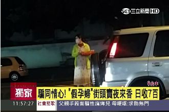騙同情心！扮孕婦賣夜來香　日賺7百