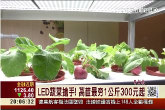 蝦米？家電賣蔬菜　五星級飯店搶著訂