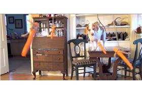 圖片來源：網友Maymo的YouTube