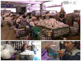 名家（鄉民提供）