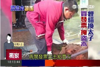 盜砍一條龍！掮客牽線山老鼠盜木抽佣