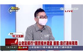 山老鼠,盜木,高嘉瑜,前進新台灣,漂流木