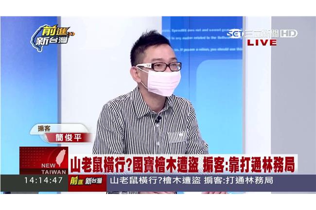 盜採樹木有發票　掮客：林務局必知情