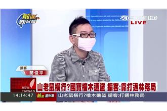 盜採樹木有發票　掮客：林務局必知情