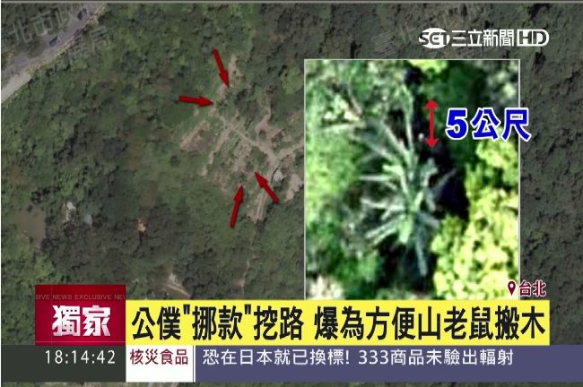 藏了十年？「空拍圖」直擊內湖漂流木
