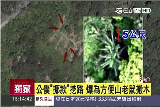 藏了十年？「空拍圖」直擊內湖漂流木