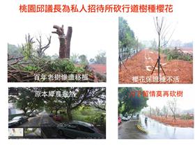 桃議長砍路樹－護樹盟臉書