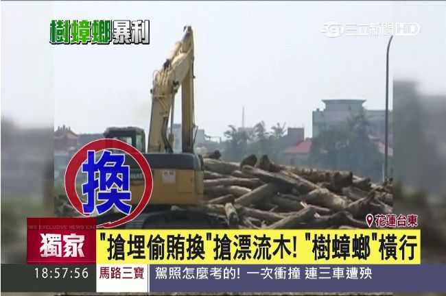 五大手法搶漂流木！「樹蟑螂」橫行