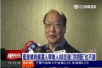 2016當副手？胡志強喊「洪胡配」