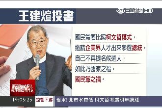 誰選藍總統？王建煊建議「柯P模式」