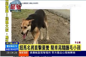 陳彥博直擊棄養　騎車尾隨守護毛小孩